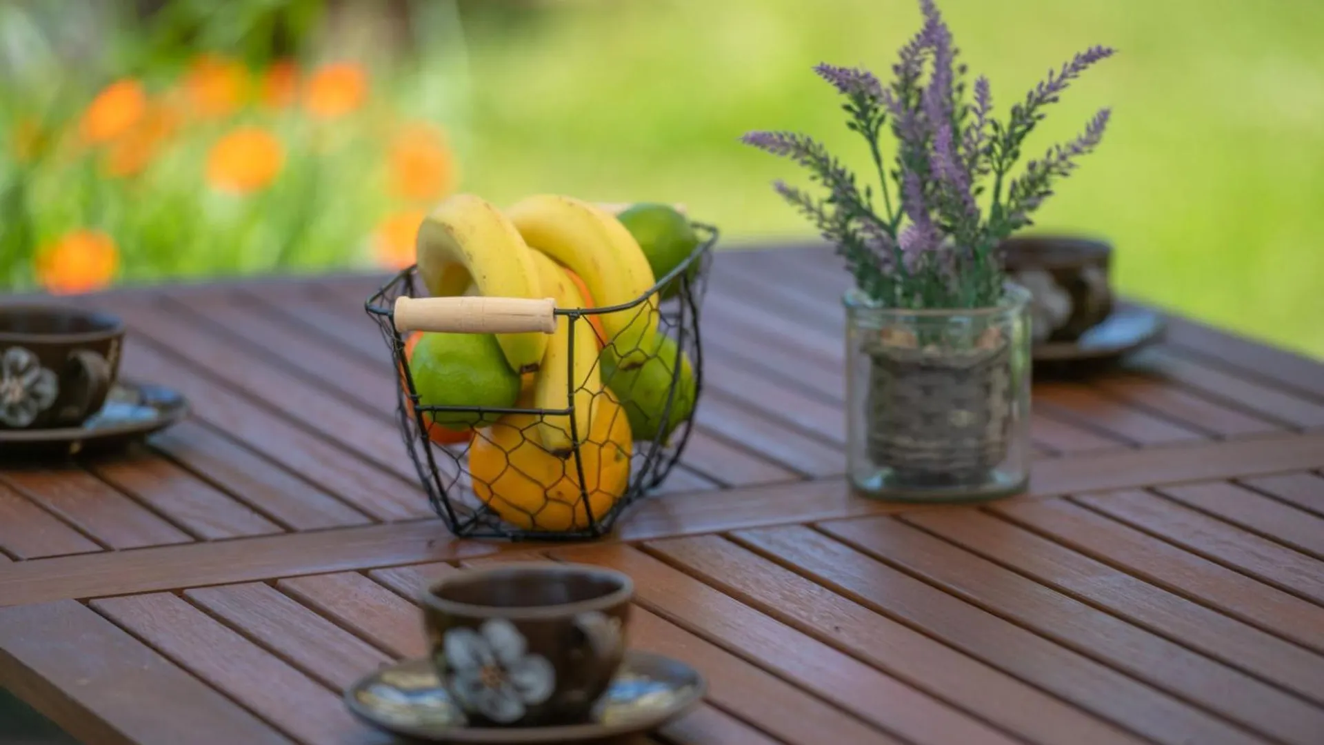 Typisch Istrisches Ferienhaus Mit Garten Jural Holiday home